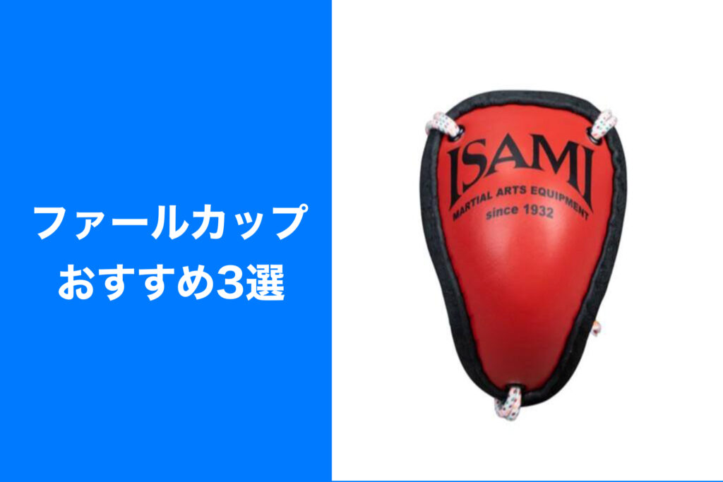 2024年】格闘技のファールカップおすすめ3選｜選び方や役割まで徹底